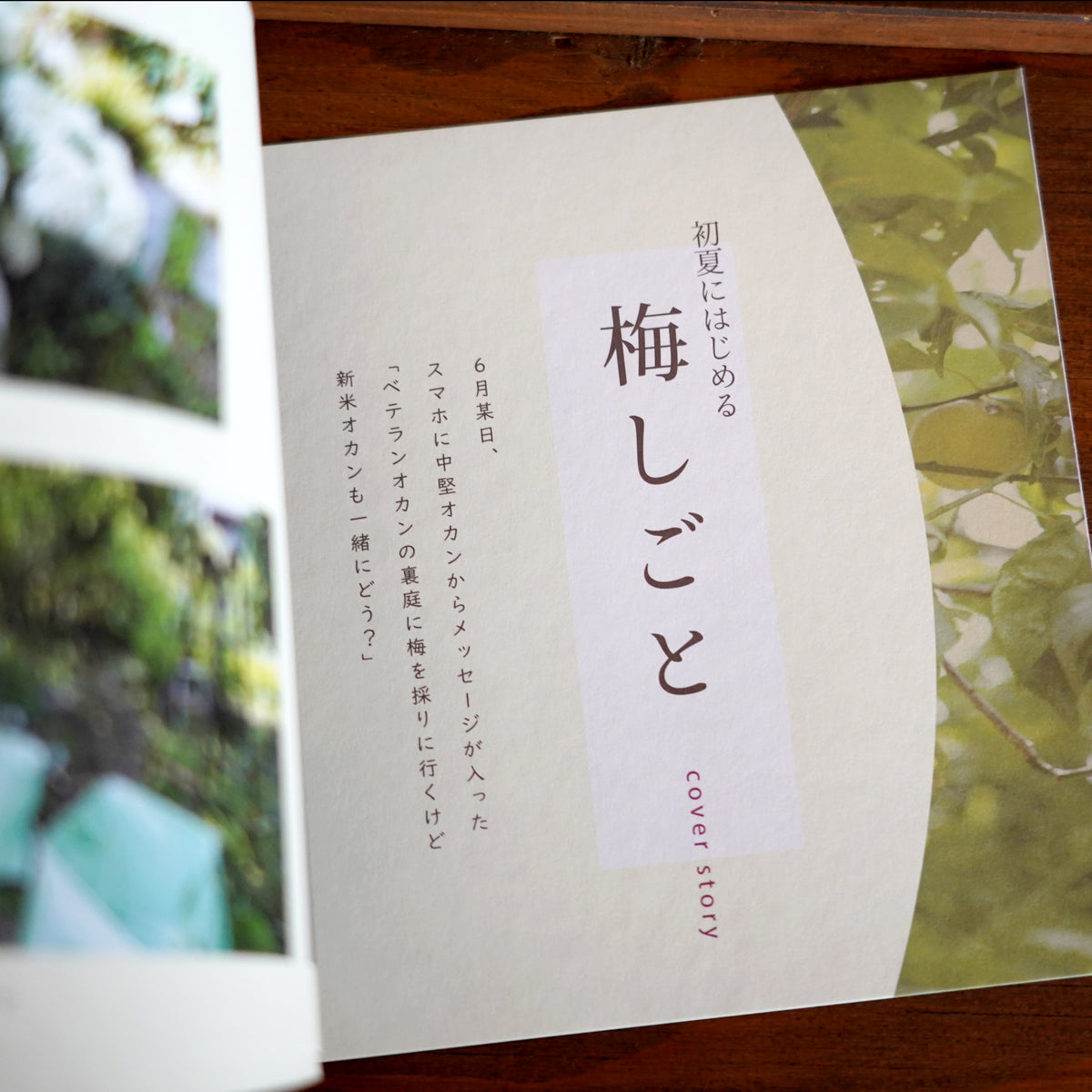 発酵オカンのことづて帖
